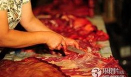 马肉 高清在线观看,高清在线揭秘神秘美食之旅